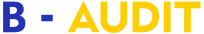 B-Audit